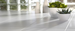 Tile Cleaning Carlingford