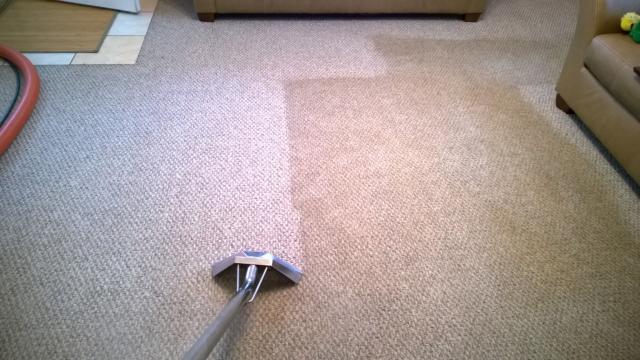 Carpet Cleaning Sydney