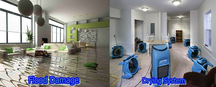 Flood Water Damage Lane Cove