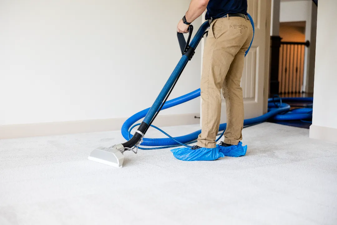 Carpet Cleaning Castle Hill Carpet Cleaning Castle Hill