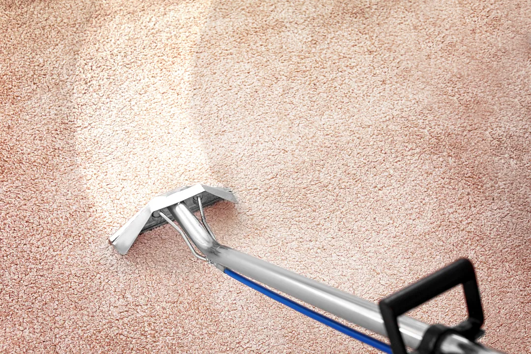 Carpet Cleaning Castle Hill Carpet Cleaning Castle Hill
