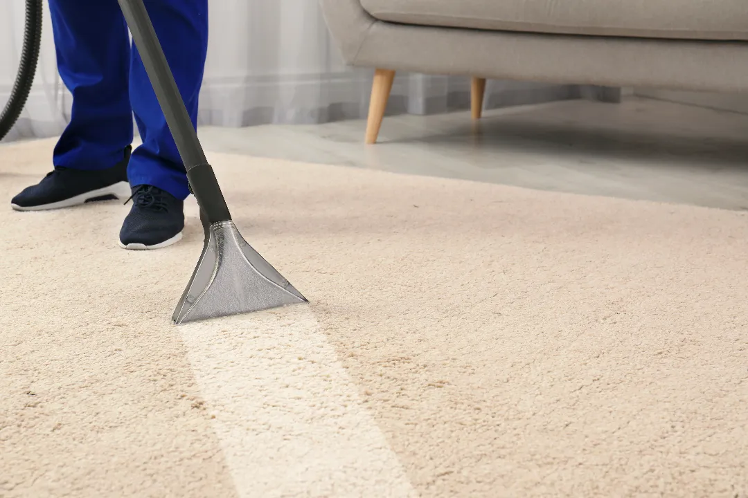 Carpet Cleaning Ashfield