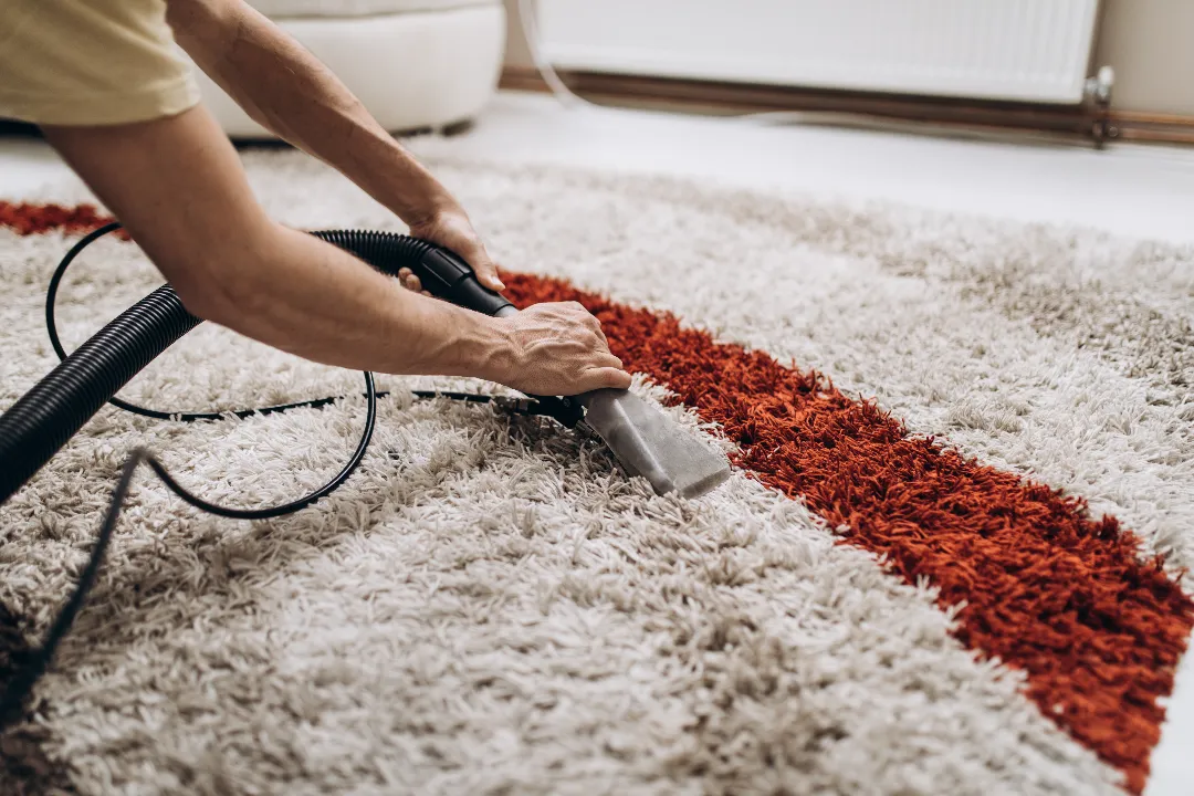 Carpet Cleaning Ashfield