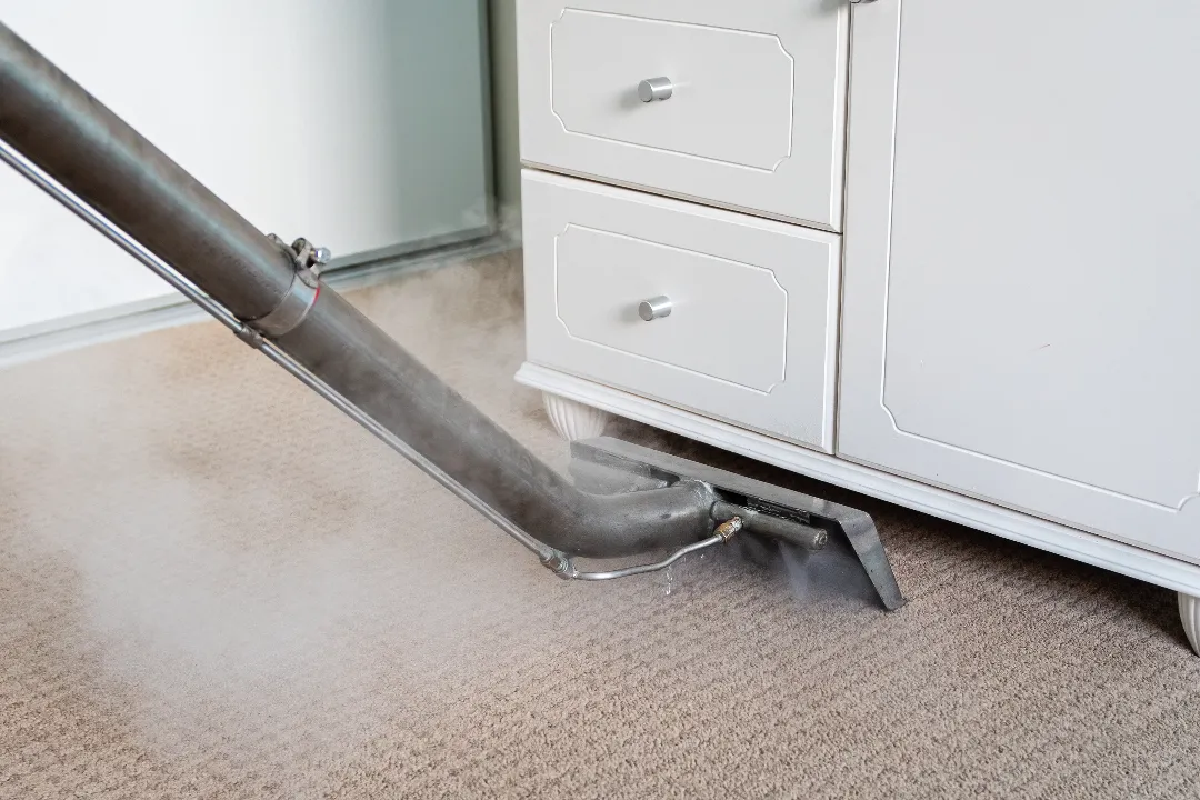 Carpet Cleaning Ashfield