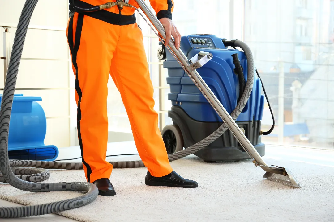 Carpet Cleaning Ashfield
