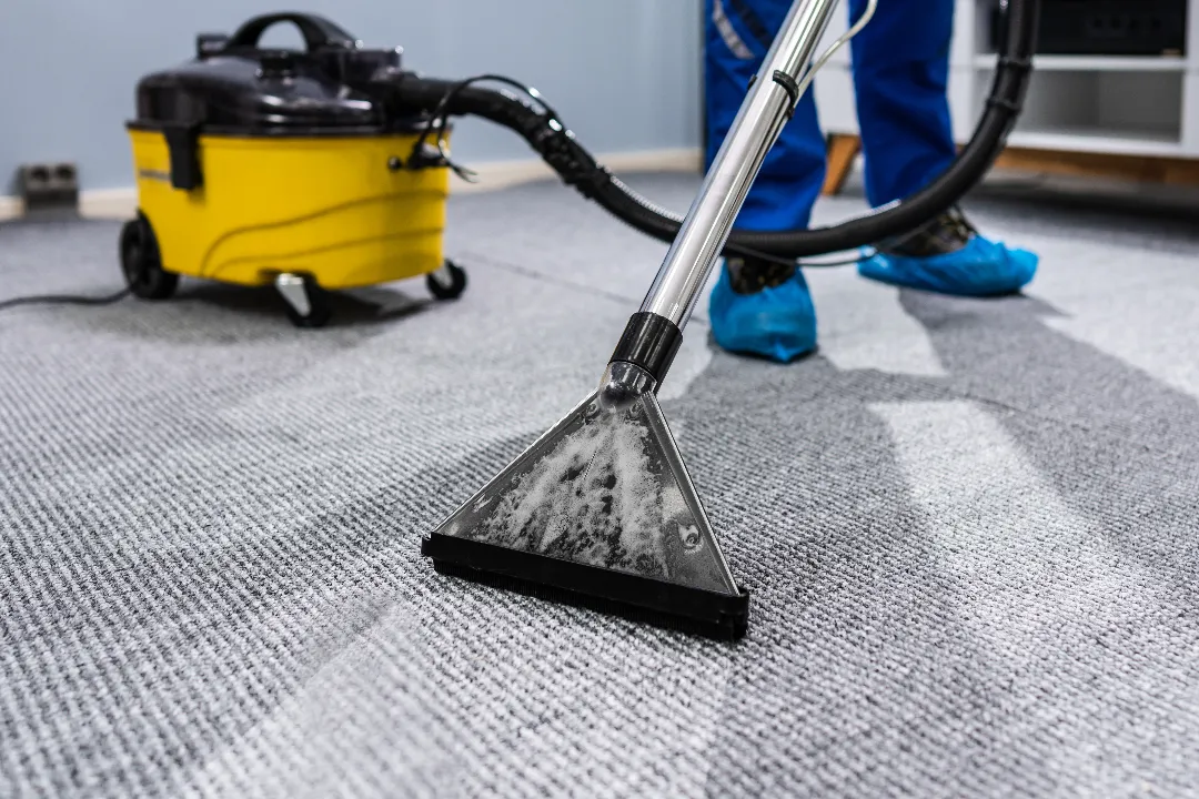 Carpet Cleaning Hornsby