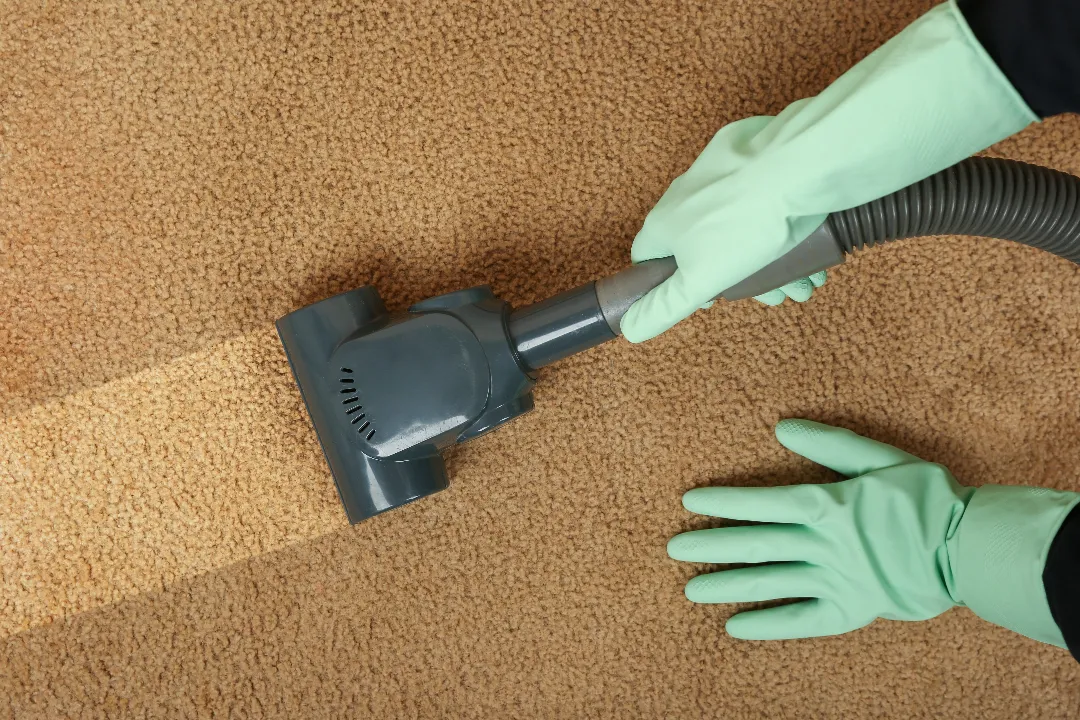 Carpet Cleaning Lane Cove