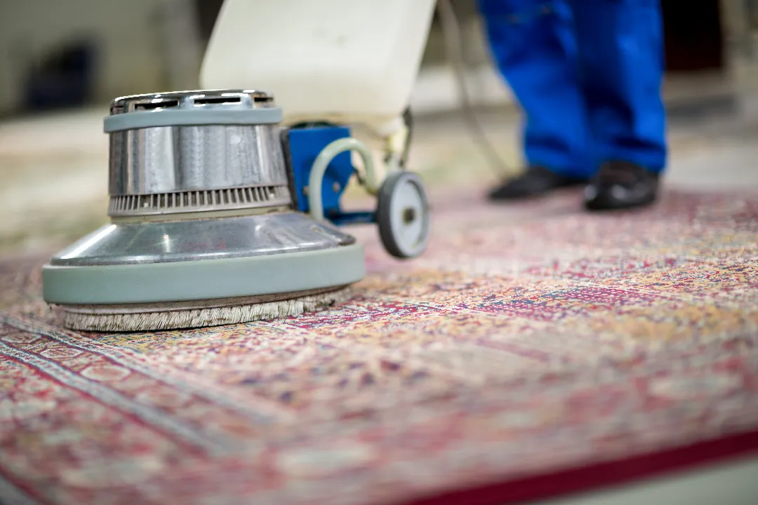 Carpet Cleaning Blacktown