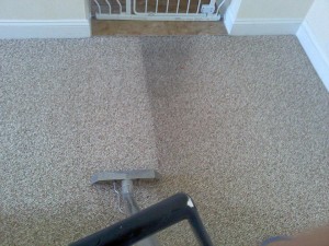 carpet_cleaning     